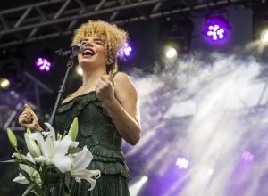 vanessa-da-mata-faz-show-gratis-na-bienal-de-sao-paulo-neste-sabado