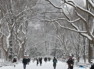 nova-york-declara-estado-de-emergencia-em-meio-a-nevasca