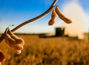 credito-restrito:-bancos-cautelosos-impactam-empresas-em-crise