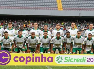 saiba-quantos-titulos-o-palmeiras-tem-na-copinha