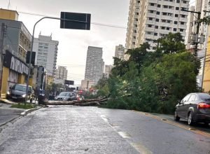 avanco-de-frente-fria-deve-trazer-mais-chuva-para-sp-nesta-sexta-feira-(2)