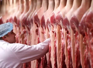 carne:-pais-vai-propor-a-china-assumir-cota-de-paises-que-nao-conseguirem-cumpri-la,-diz-favaro