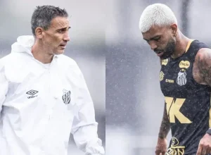 gabigol-exalta-estilo-de-jogo-de-vojvoda-no-santos:-“estou-no-lugar-certo”