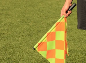 fpf-afasta-arbitro-e-auxiliar-que-confirmaram-gol-irregular-do-palmeiras