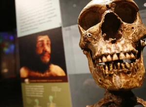 fosseis-de-770-mil-anos-podem-revelar-ancestral-de-humano-moderno-e-de-neandertal