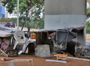 belo-horizonte-aprova-lei-que-permite-pets-em-abrigos-para-moradores-de-rua