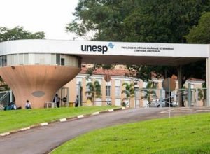 unesp-divulga-resultado-preliminar-das-olimpiadas-cientificas
