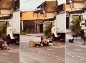 ex-lutador-imobiliza-pit-bull-com-mata-leao-para-salvar-pinscher-em-sao-vicente,-no-litoral-de-sp