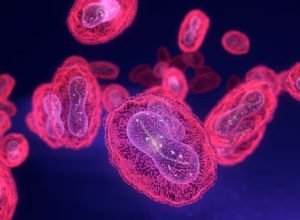 oms-identifica-nova-recombinacao-do-virus-da-mpox-apos-casos-no-reino-unido-e-na-india