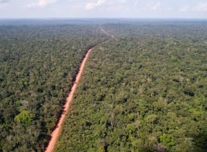 brasil-envia-missao-a-asia-para-captar-recursos-para-o-tfff;-meta-e-atingir-us$-10-bilhoes-ate-o-fim-do-ano