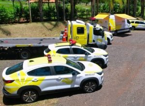 der-sp-arrecada-cerca-de-r$-4-milhoes-em-leilao-eletronico-de-bens-publicos