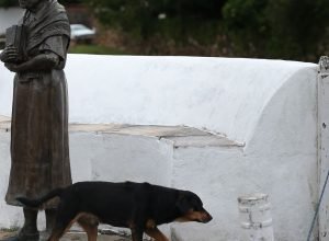 iphan-debate-a-realidade-das-mulheres-na-gestao-do-patrimonio-cultural