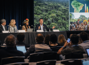 governo-de-sp-apresenta-iniciativas-ambientais-e-indigenas-em-painel-no-sxsw,-nos-eua