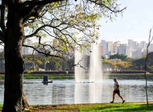 violencia-e-inseguranca-assombram-o-parque-do-ibirapuera