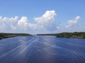 jaraqui-e-reconhecido-como-patrimonio-cultural-imaterial-do-amazonas