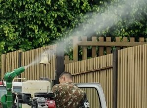 mato-grosso-do-sul-vai-receber-vacina-em-projeto-contra-chikungunya