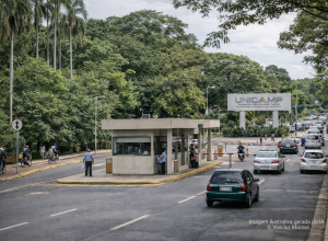 anvisa-descarta-risco-a-saude-publica-apos-furto-de-materiais-biologicos,-diz-unicamp