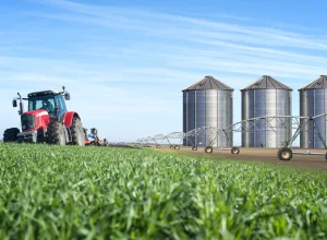 agronegocio-e-exportacoes-sustentam-crescimento,-mas-gargalos-de-infraestrutura-pressionam-competitividade