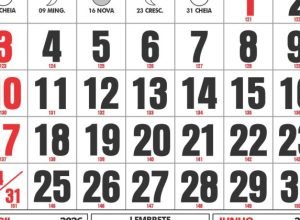 hoje-e-dia:-datas,-fatos-e-feriados-de-maio-de-2026