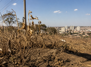 defesa-civil-alerta-para-aumento-do-risco-de-incendios-em-sao-paulo
