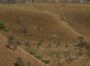 mapbiomas:-fragmentacao-de-areas-naturais-quase-triplicou-em-40-anos
