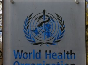 hantavirus:-oms-confirma-oito-casos-de-cepa-que-causou-surto-em-navio