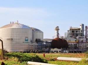 petrobras-retoma-fabricas-de-fertilizantes-para-atender-35%-da-demanda