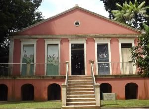 museu-paraense-abriga-uma-das-maiores-colecoes-de-mamiferos-do-mundo