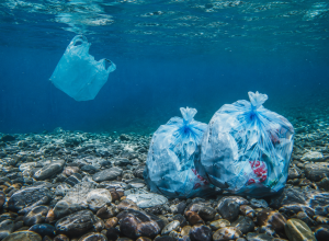 pesquisa-da-usp-encontra-microplasticos-em-aguas-profundas-da-bacia-de-santos