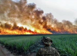 policia-militar-ambiental-intensifica-fiscalizacao-contra-queimadas-em-todo-o-estado-de-sp