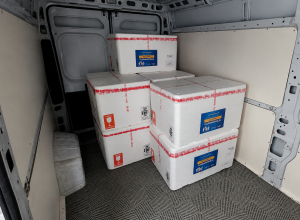 sc-distribui-mais-328-mil-doses-da-vacina-contra-gripe