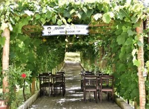 rota-do-vinho-em-sao-roque-–-quinta-do-olivardo
