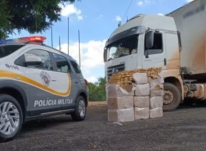 pm-rodoviaria-apreende-mais-de-440-kg-de-maconha-em-caminhao-no-interior-de-sp