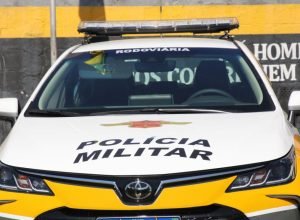 pm-rodoviaria-resgata-macaco-prego-transportado-ilegalmente-em-palmital