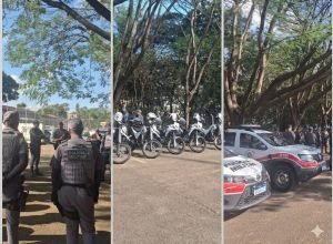 operacao -impacto-hercules-trigesimo-sexto-batalhao-de-policia-militar-do-interior