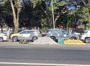 policia-rodoviaria-apreende-meia-tonelada-de-drogas-escondida-em-caminhao-frigorifico