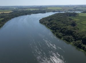 tiete-e-pinheiros-passam-a-ser-monitorados-por-satelite-e-inteligencia-artificial