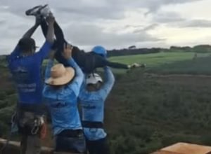 jovem-que-postou-‘quem-foi-o-doido-que-me-deixou-vir?’-morre-em-salto-de-ponte