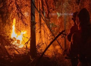 mp-libera-mais-de-r$-337-milhoes-para-combate-a-incendios-florestais