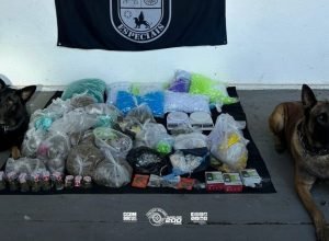 caes-do-5o-baep-localizam-mais-de-21-kg-de-drogas-durante-operacao-na-zona-leste-da-capital