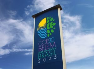 Marcelo Henrique de Carvalho